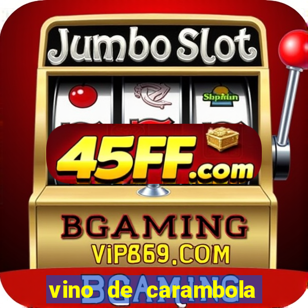vino de carambola stardew valley